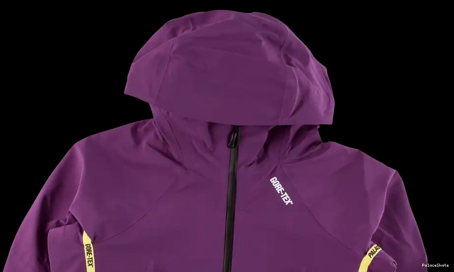 Cheap Palace Jacket Gore-Tex Palex 0531